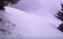 снег