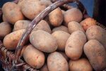 Ціни на картоплю в Україні / Фото: east-fruit