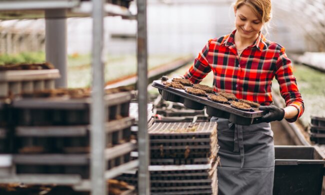 Зарплаты за границей / Фото: Freepik