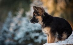 Прогноз погоди в Україні