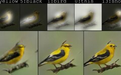 ai-bird