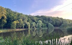 Прогноз погоды в Украине