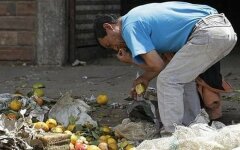 венесуэлла