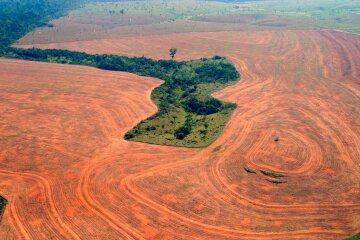 Вырубка лесов Амазонки