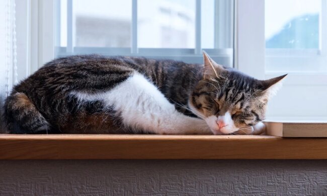 Прогноз погоды в Украине