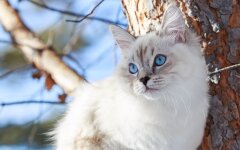 Прогноз погоды в Украине