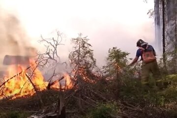 Пожежі в лісах Росії, лісові пожежі, РФ, Югра, тюмень