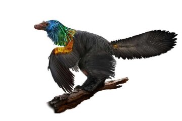 dinozavr-ptitsa