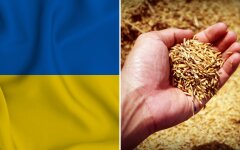 Зерновой спор украина, польша, словакия, румыния