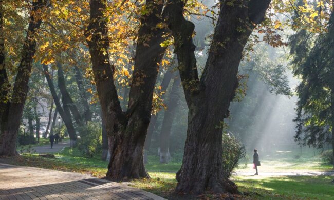 Прогноз погоды в Украине / Фото: Виталий Носач, РБК-Украина