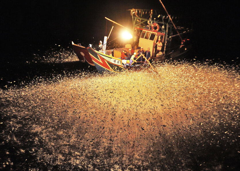 Китайские рыбаки ловят рыбу на свет