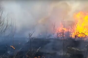 штраф за разведение огня,пожар в лесу,пожар в зоне отчуждения,штраф за сжигание травы