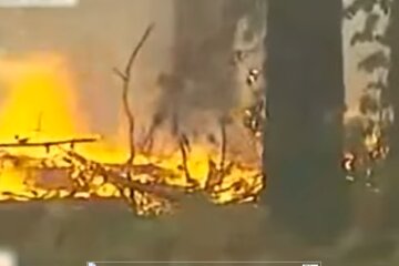 Пожар в лесу, Киев, костер