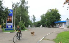 АЗС Украины