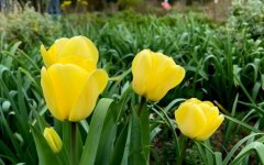 Погода в Украине, погода в Киеве, прогноз погоды