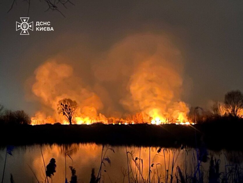 ДСНС: Площа пожежі на київських Осокорках складає близько 3 гектарів