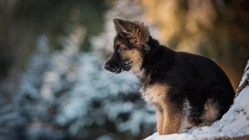 Прогноз погоди в Україні