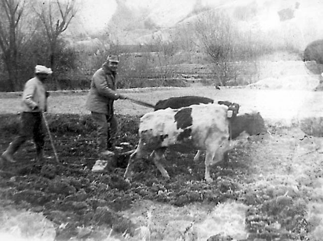 Советский солдат помогает декханину работать в поле. Облик орудий сельскохозяйственного производства в Афганистане не менялся на протяжении нескольких веков