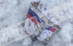 katastrofa-an-148-v-podmoskove-foto2