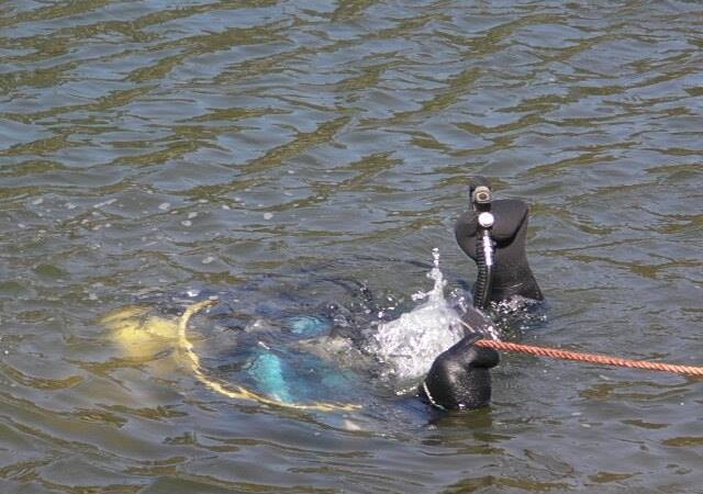 водолазы труп