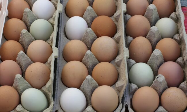 Цены на яйца в Украине / Фото: Unsplash