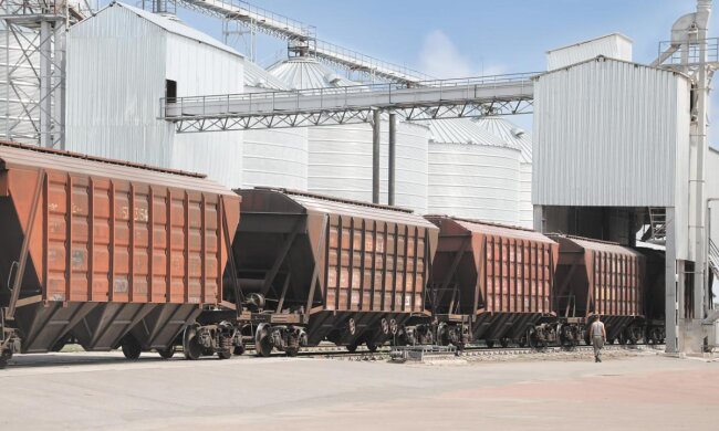 Экспорт зерна