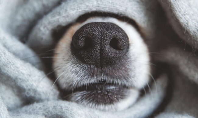 Прогноз погоды в Украине / Фото: Shutterstock