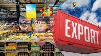 Экспорт продуктов / Коллаж 24 Канала