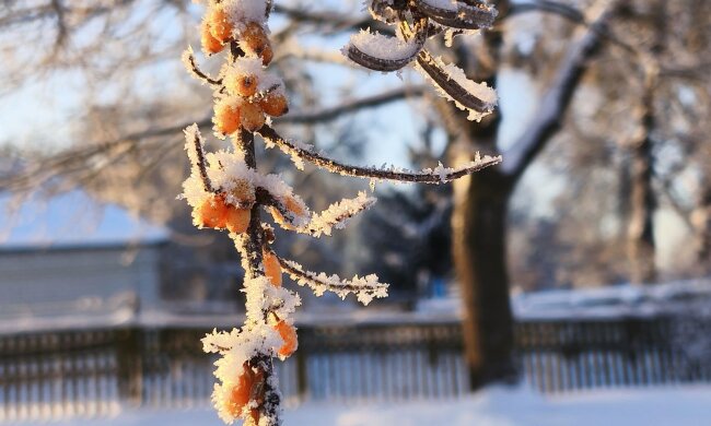 Прогноз погоды в Украине / Фото: РБК-Украина