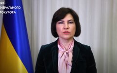 Ирина Венедиктова, насилие, пытки, полиция