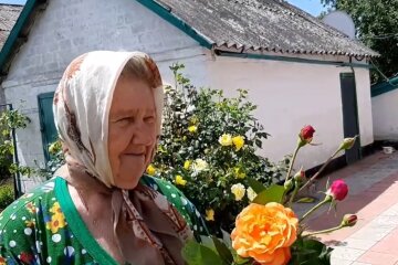Украинские пенсионеры, ПФУ, льготная пенсии