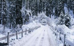 Прогноз погоды в январе