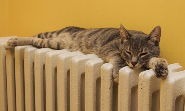 Прогноз погоди в Україні