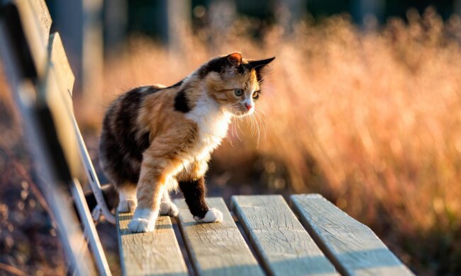 Прогноз погоди в Україні / Фото: Unsplash