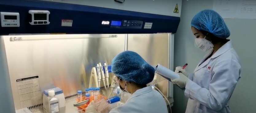 Вакцина от коронавируса,китайские ученые создают вакцину от Covid-19,лечение коронавируса