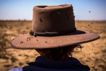 Зміна клімату в Україні