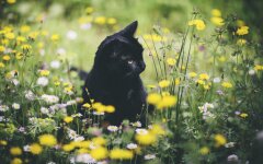 Прогноз погоды в Украине