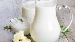 молоко сметана масло молочка