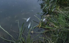 Запасайтесь: в Киеве может резко ухудшиться качество воды