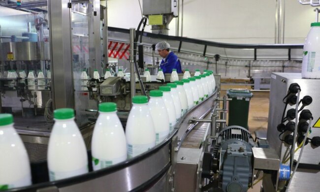 Виробництво молока