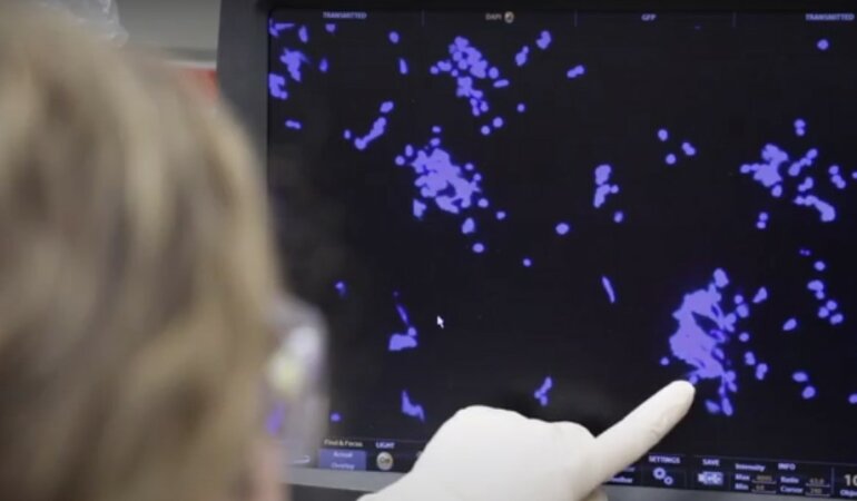 Коронавирус в Украине,коронавирус в детском садике в Броварах,борьба с коронавирусом в Украине