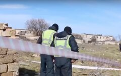 Задержали подозреваемого в убийстве 7-летней Маши Борисовой