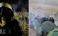 Миграционный кризис, мигранты из беларусь прорвались в польшу