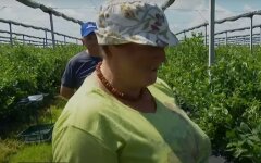 В ПФУ объяснили, кому повысили пенсии с 1 сентября