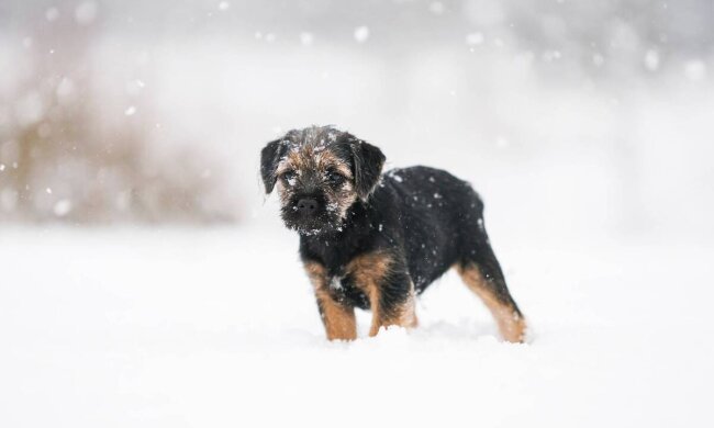 Прогноз погоди в Україні
