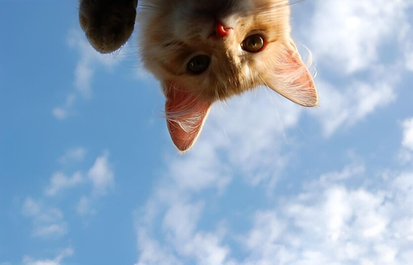 Прогноз погоди в Україні