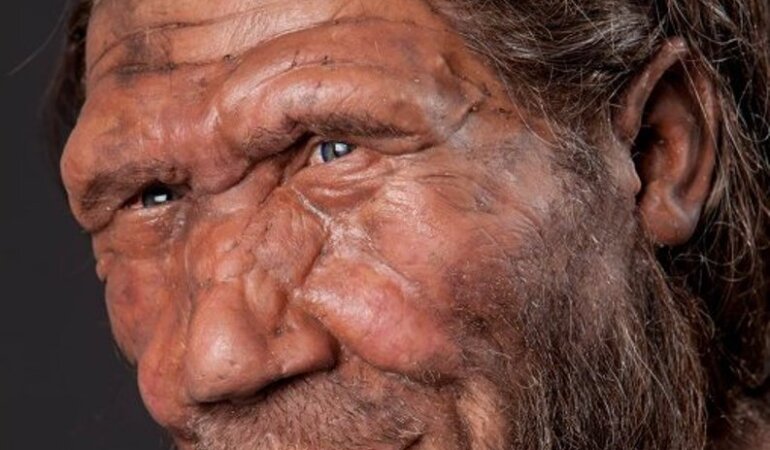 neandertalets