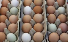 Цены на яйца в Украине / Фото: Unsplash