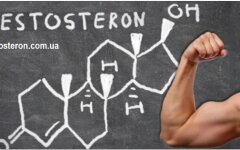 screenshot-2018-1-13-u-shho-znaye-pro-testosteron-ukrayina