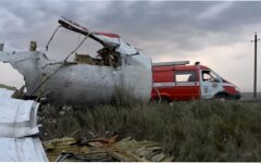 Расследование причин катастрофы рейса МН17,Джерри Скиннер,Трагедия рейса МН17